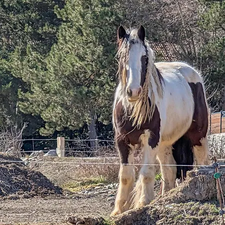 Stunning In Appartement *